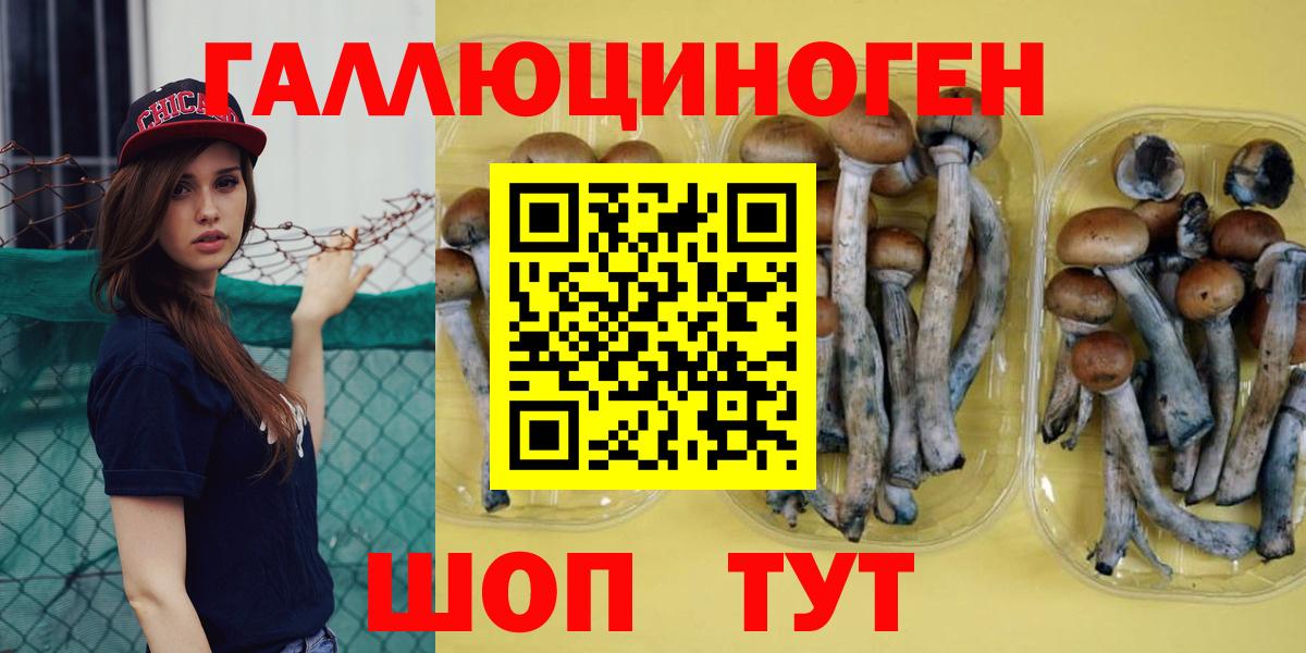 Саянск  Псилоцибиновые грибы ЛСД  купить наркоту  Галлюциногенные грибы Psilocybe  Вход с VPN 